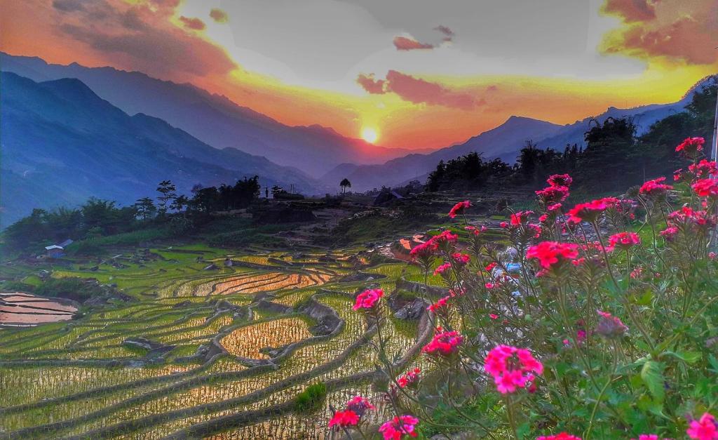 Surrounding environment