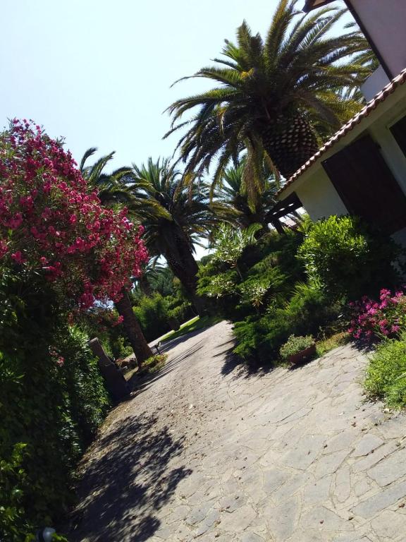 Le Palme - 2