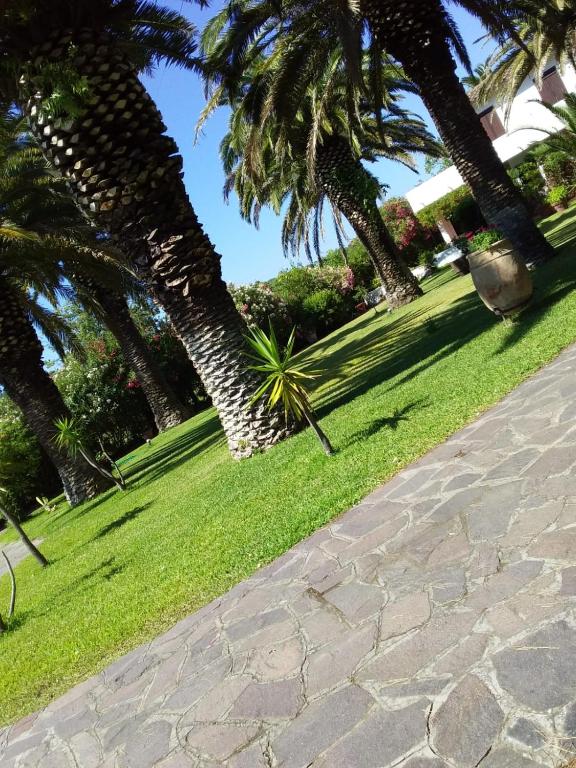 Le Palme - 4