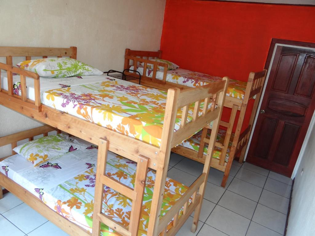 Hotel & Hostel Sloth Backpackers photo