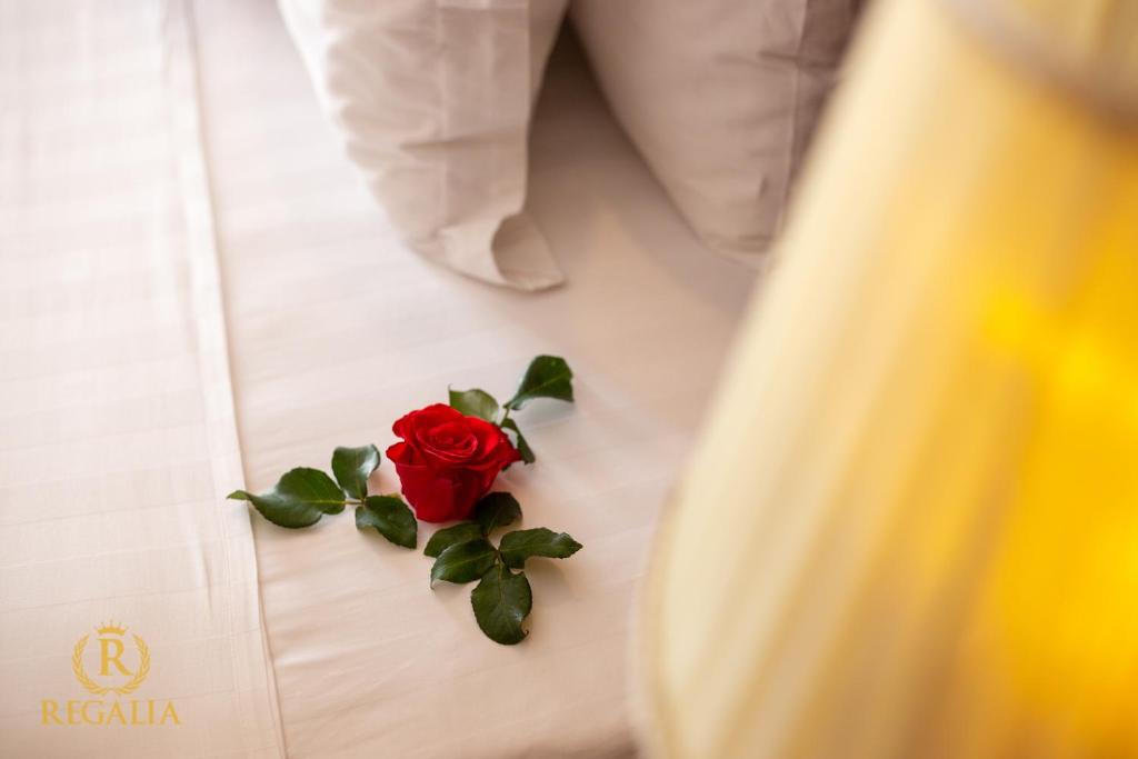 Hotel Facilities