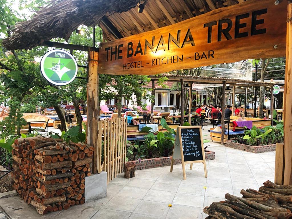 The Banana Tree Hostel 호텔 이미지 2