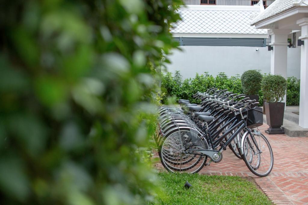 Sports and activities