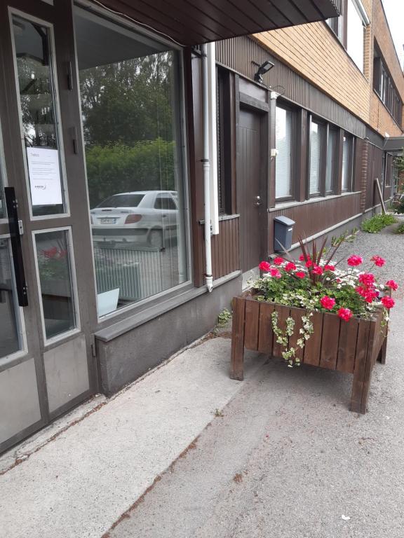 Puotipuisto 3
