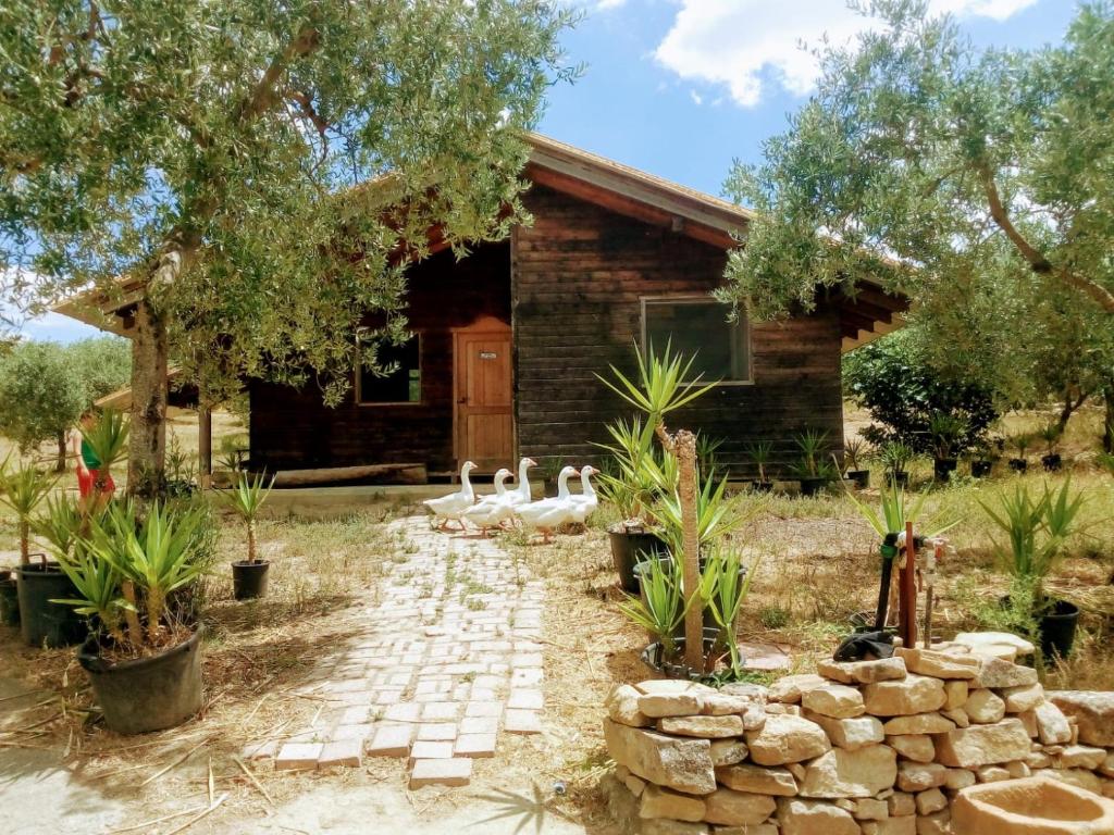 Villa Rossi — Hotel in Enna