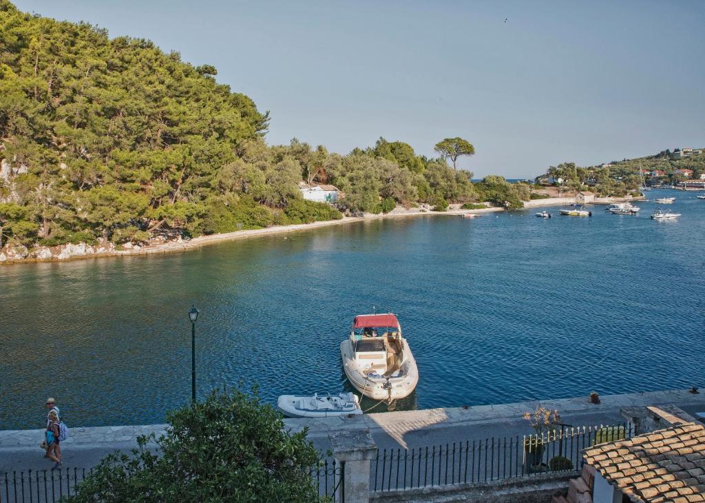 Averto Avali photo