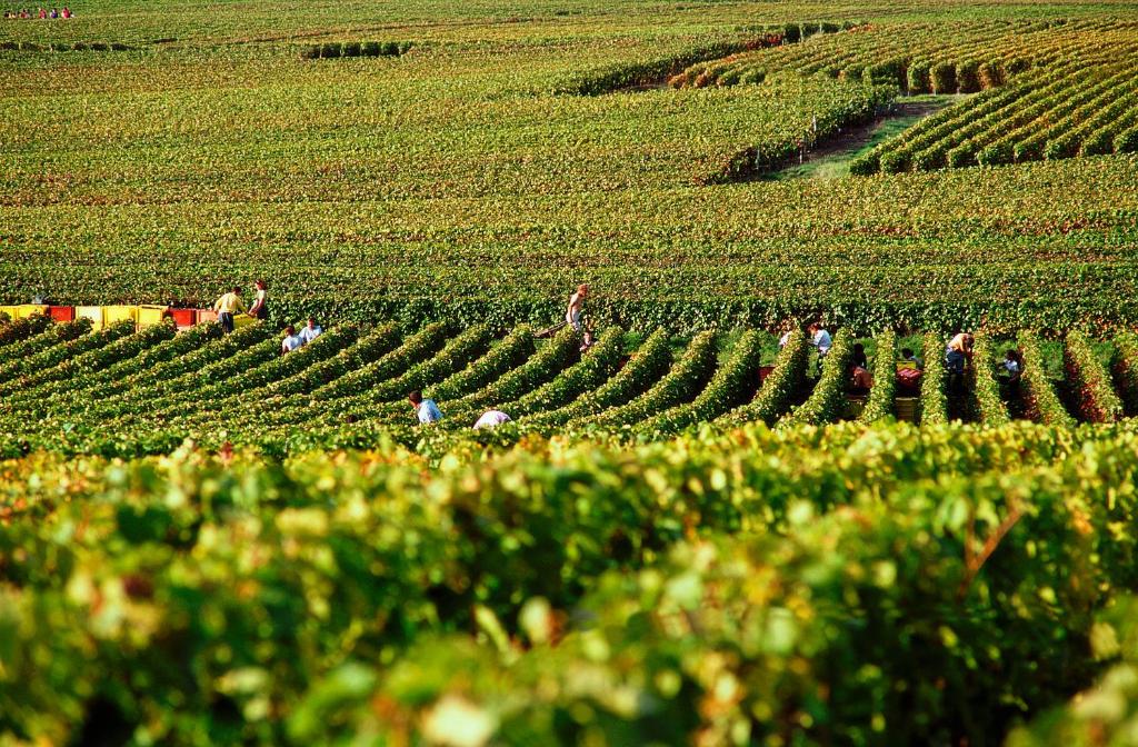 ibis Styles Reims Centre Photo 38