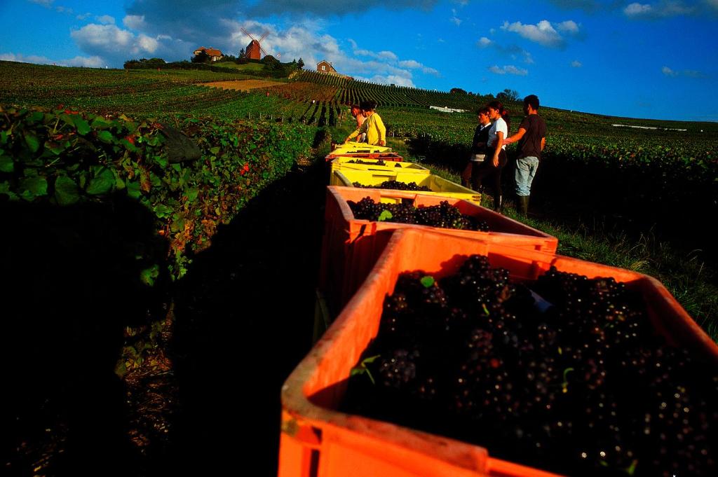 ibis Styles Reims Centre Photo 39