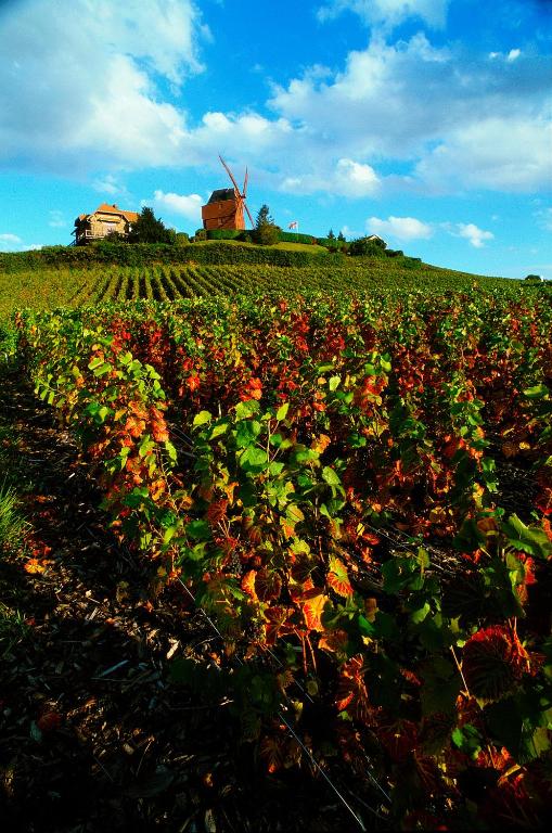 ibis Styles Reims Centre Photo 40