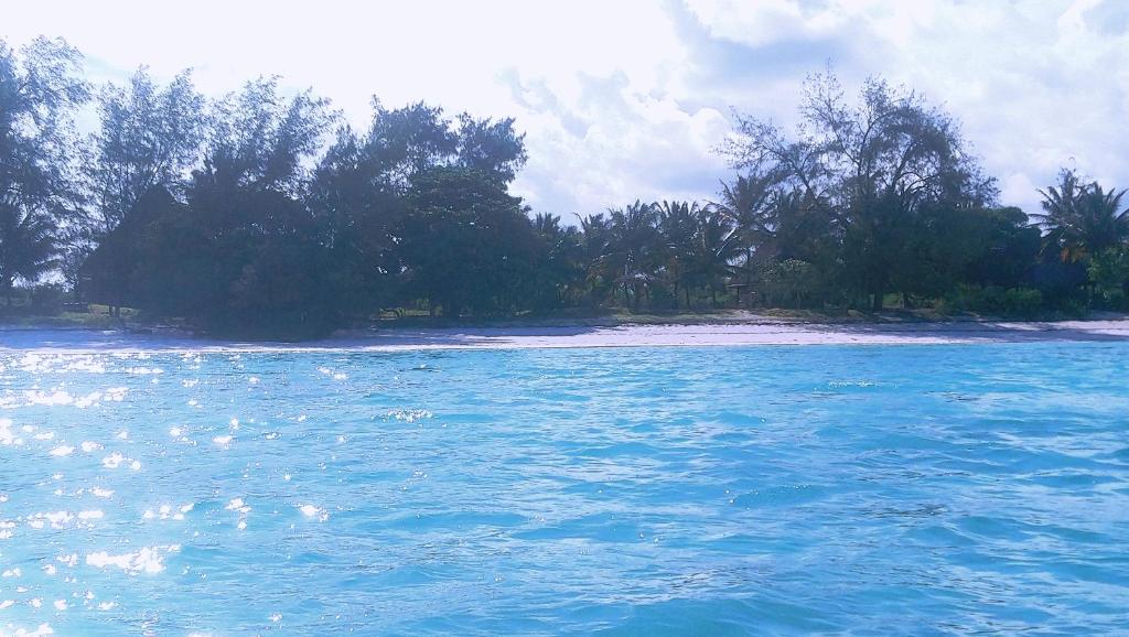 Pemba First Eco Lodge photo