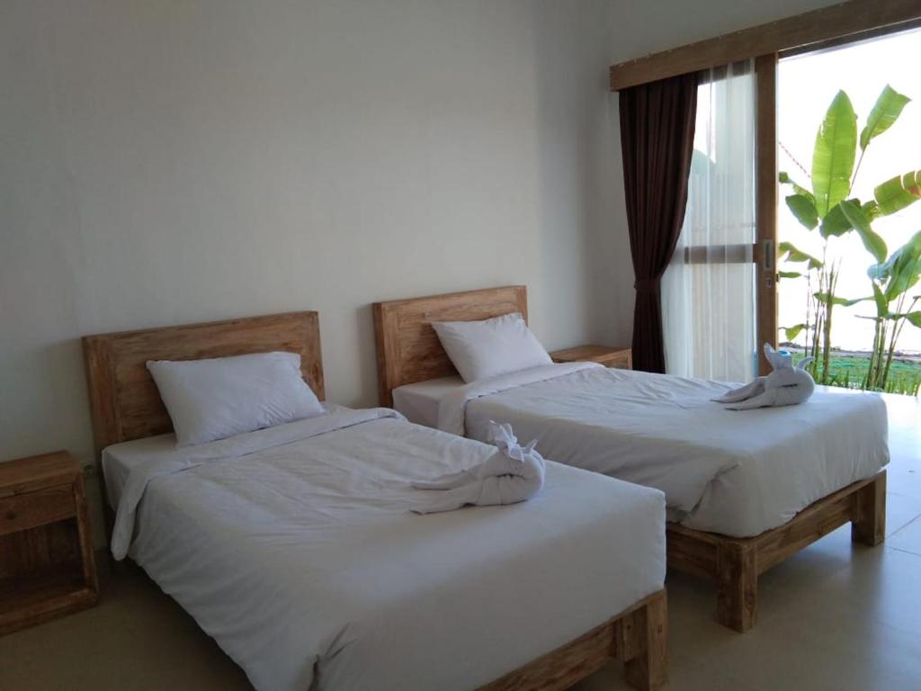 Padi guest house photo