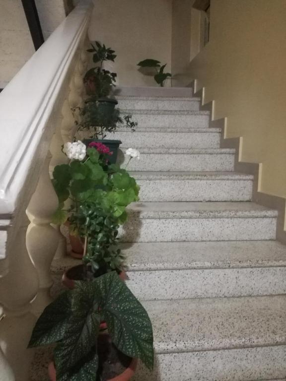 Vacation Home Gela photo