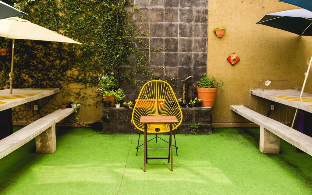 Blue Pepper Hostel Chapultepec photo