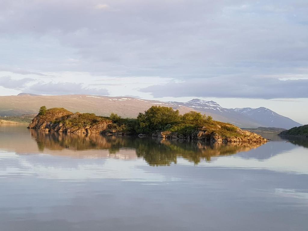 Surrounding environment