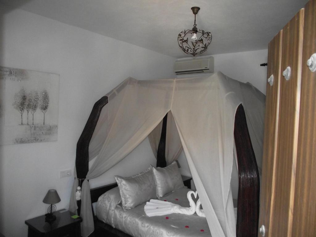 Hostal El Canario - 1