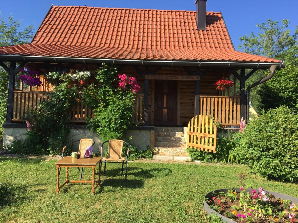 Brvnara za odmor Tara - 2