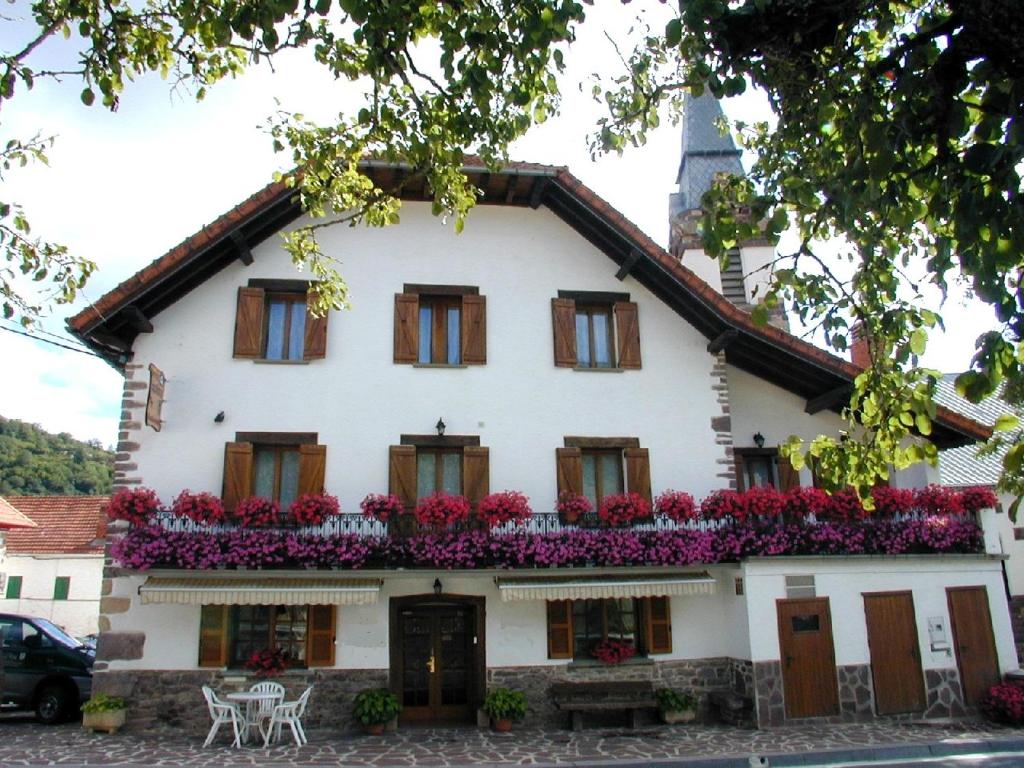 AUÑAK 1