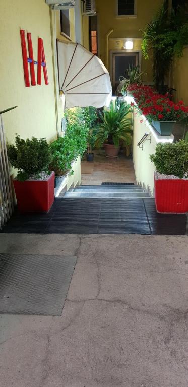Hotel Arcella photo