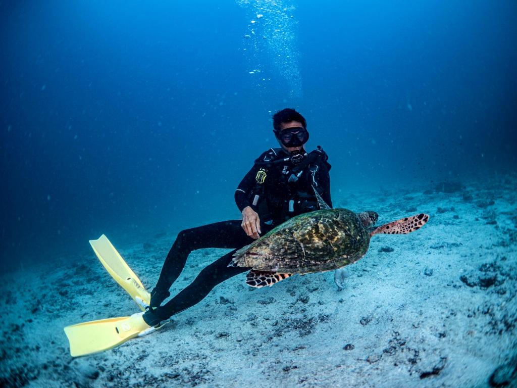 Sports and activities