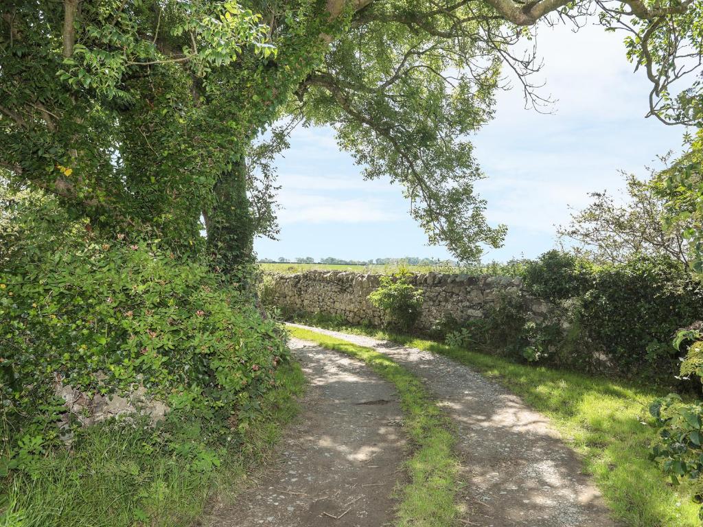 Y Bwthyn, Brynsiencyn photo 8