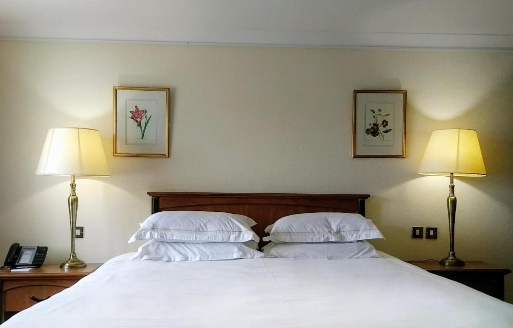 Lord Bagenal Inn photo