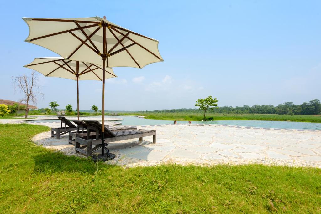 Surrounding environment