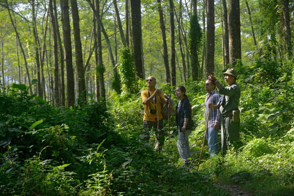 Surrounding environment