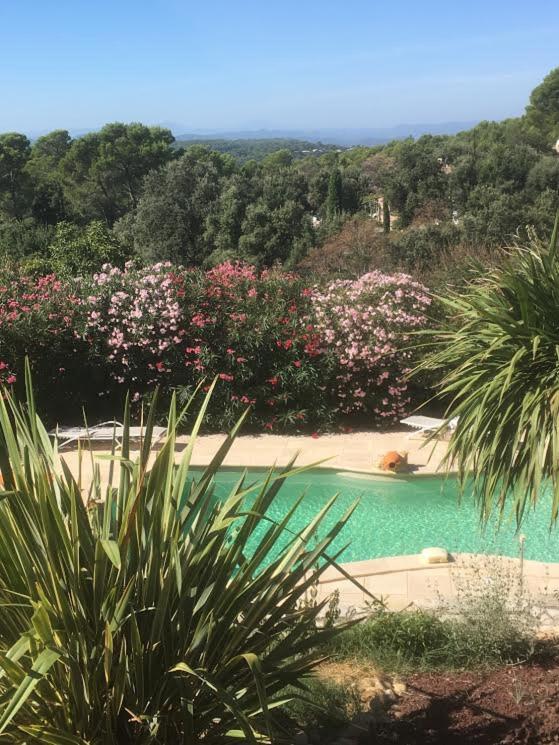 Villa Nassalia - 3