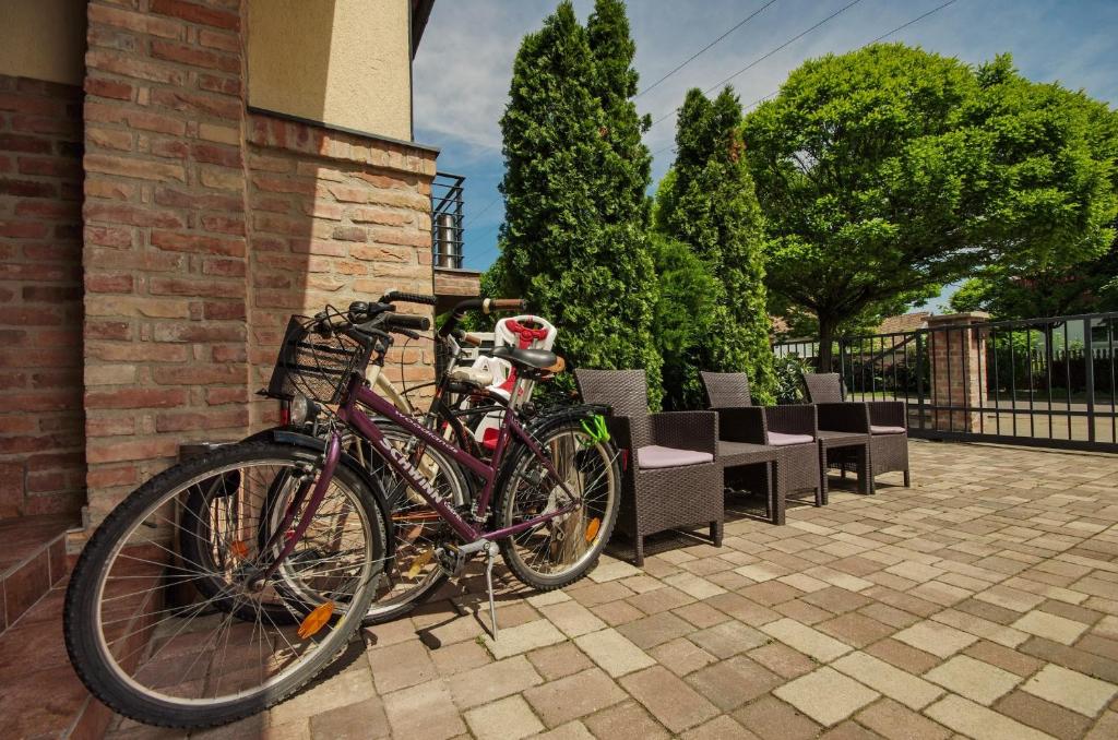 Sport és szabadidő