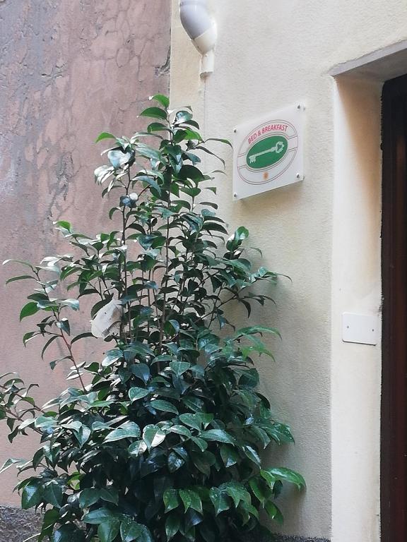 b&b sotto le torri - 2