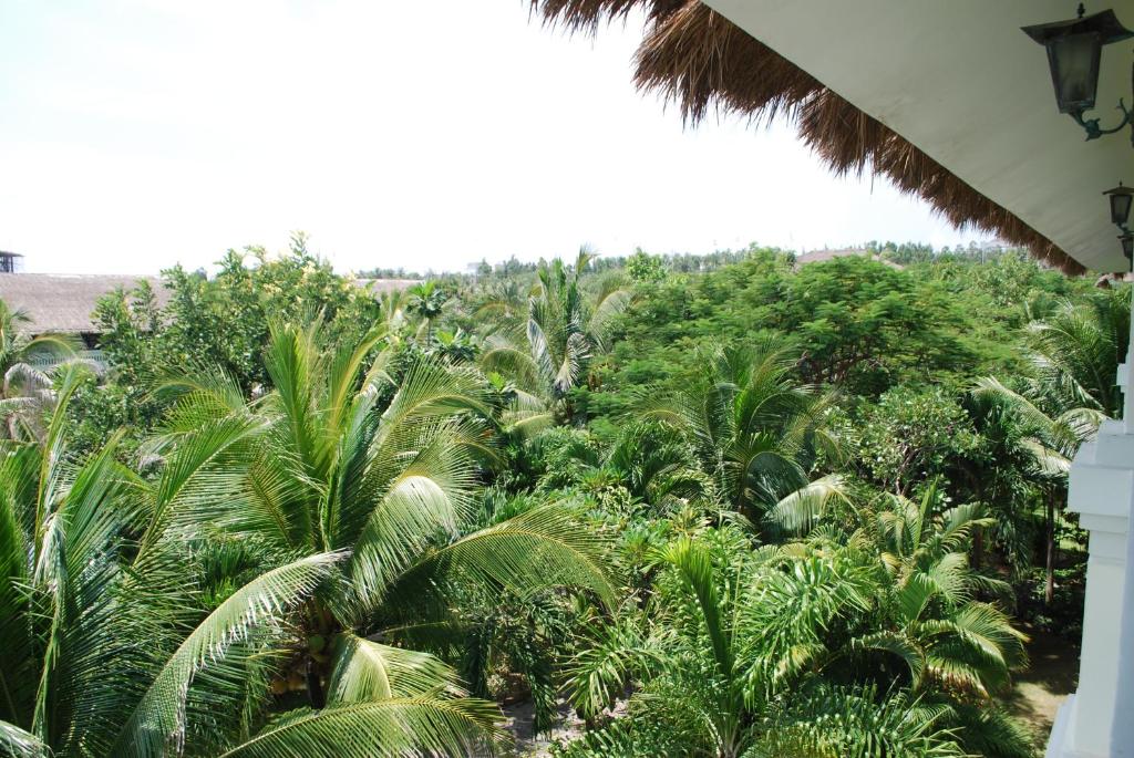 Surrounding environment