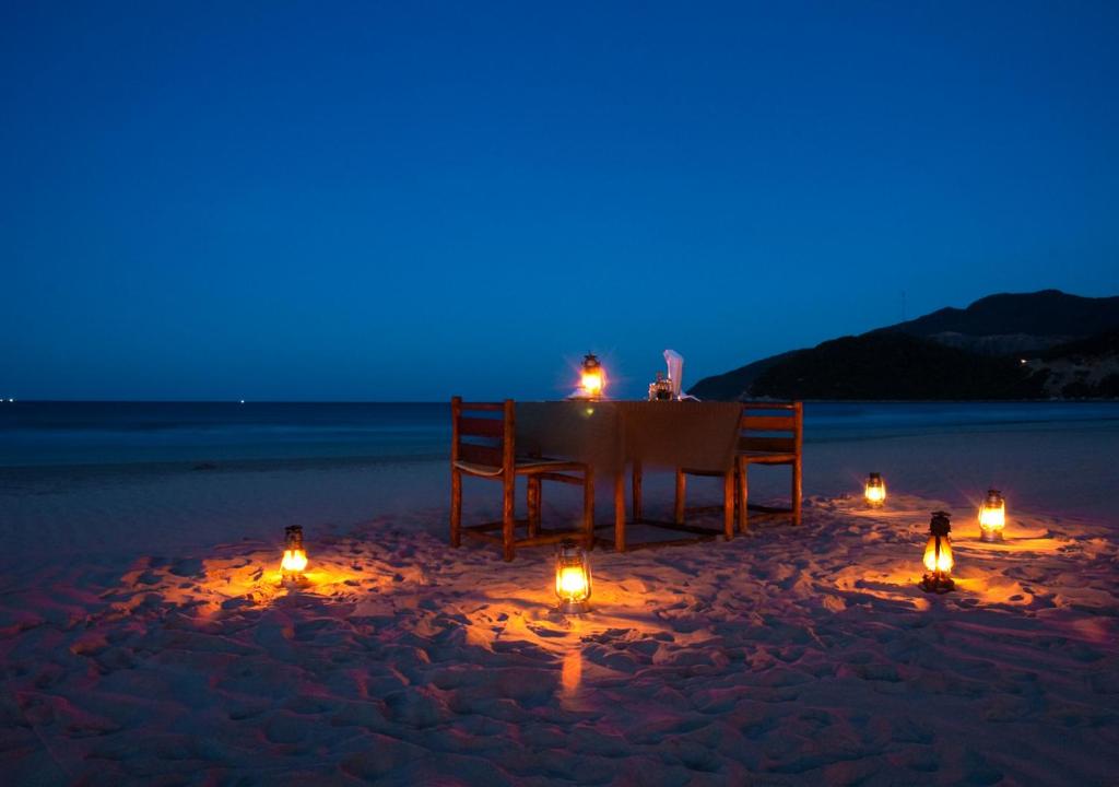 Wild Beach Resort