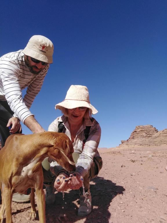 Sports and activities