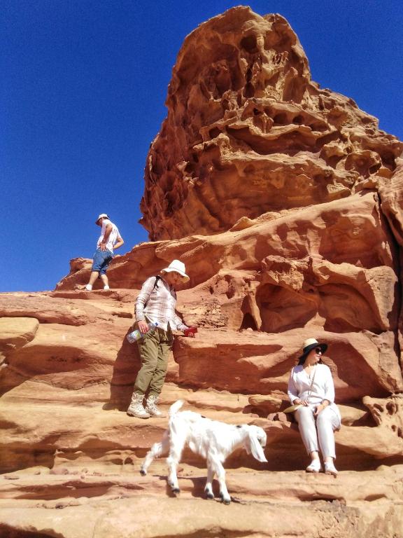 Sports and activities