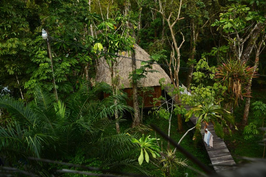Hotel Kangaroo y Restaurante photo