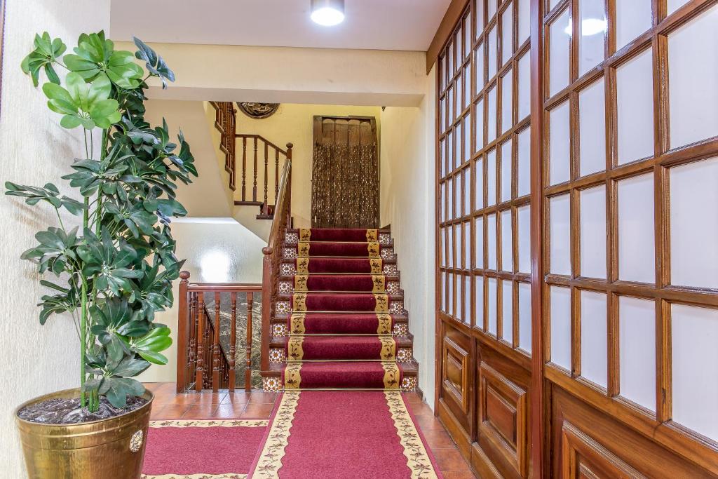 Hotel Sierra de Aracena photo