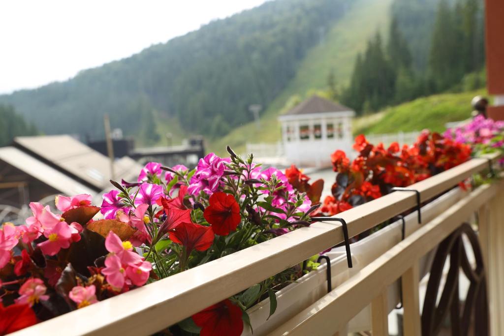 Petros Hotel photo