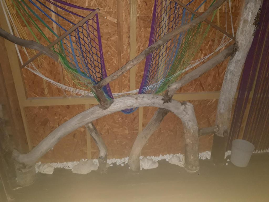 Shared lounge/TV area