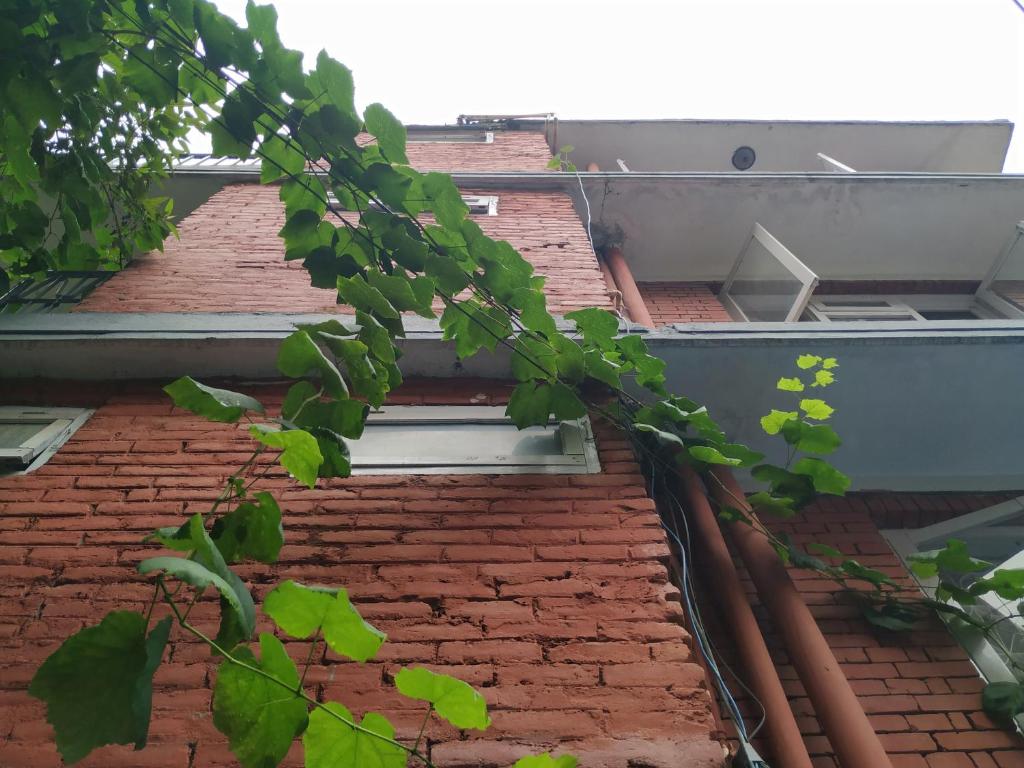 Exterior view