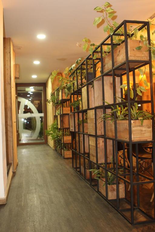 Hotel Umawue photo