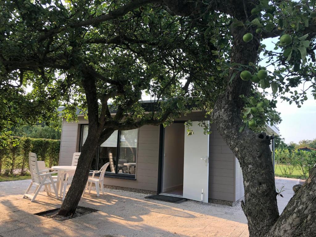 Apple Tree Guest House