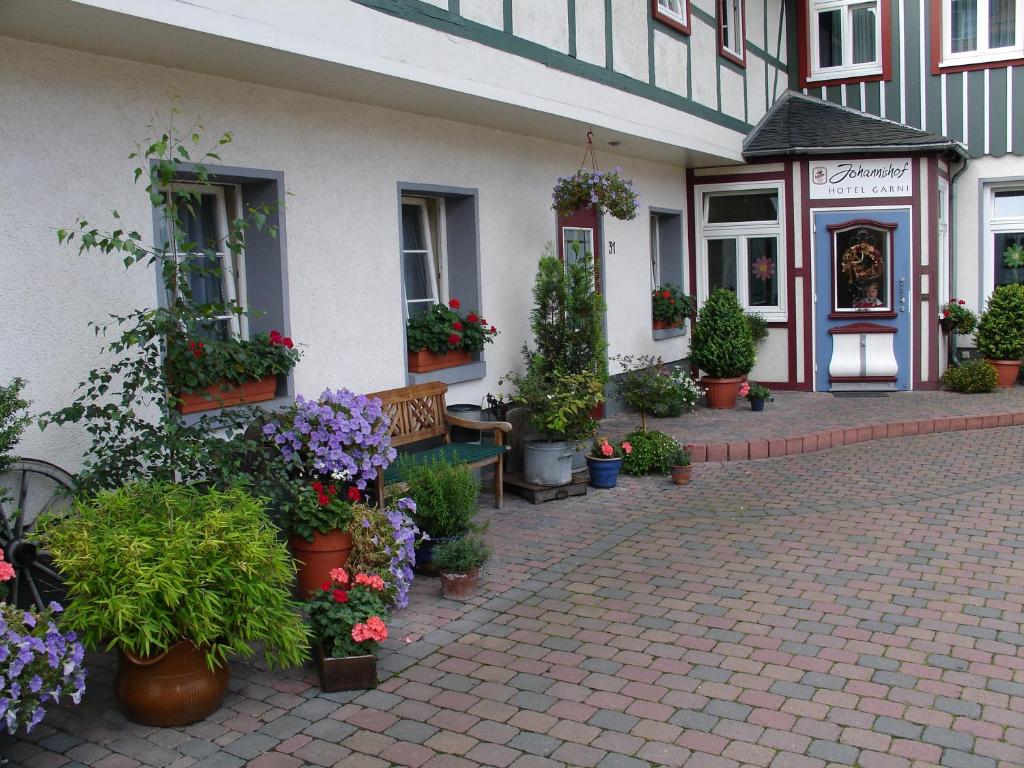 Hotel Johannishof photo