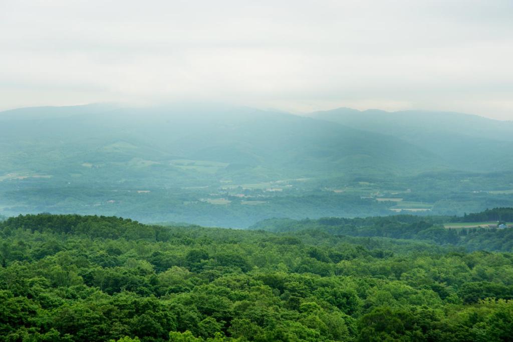 Surrounding environment