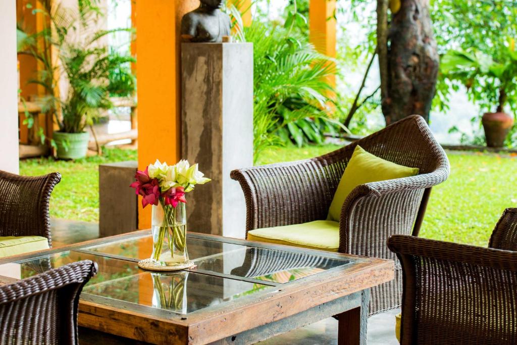 Villa Rosa photo