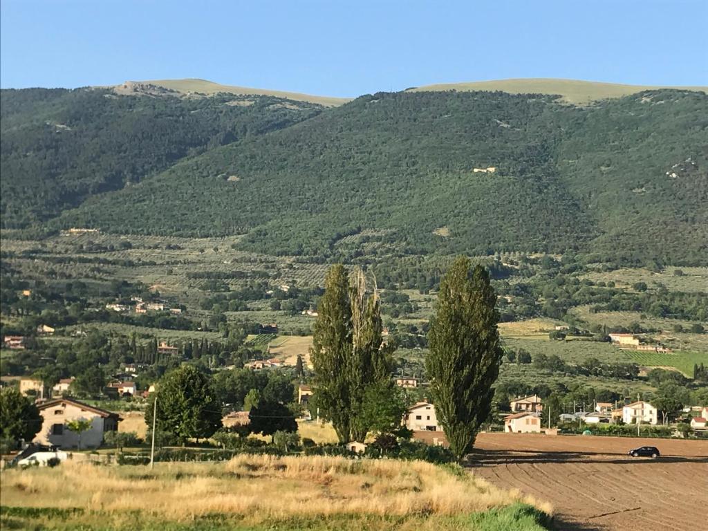 Casa Nonna Jole - 3