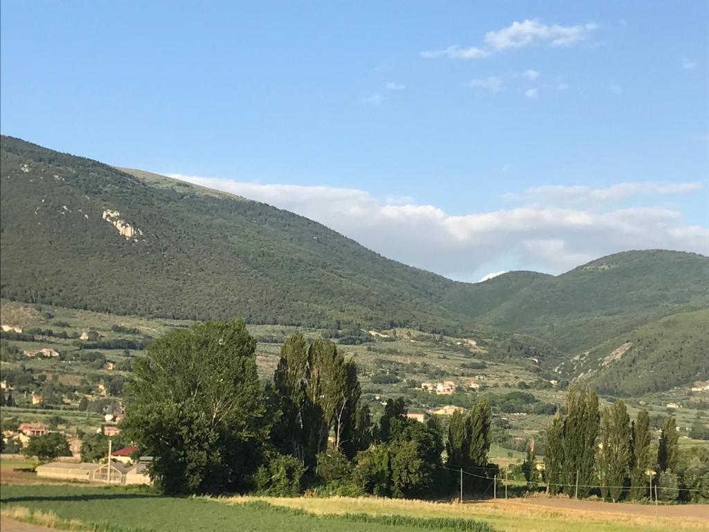 Casa Nonna Jole - 5