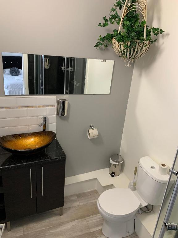 Boars Head Boutique Hotel photo