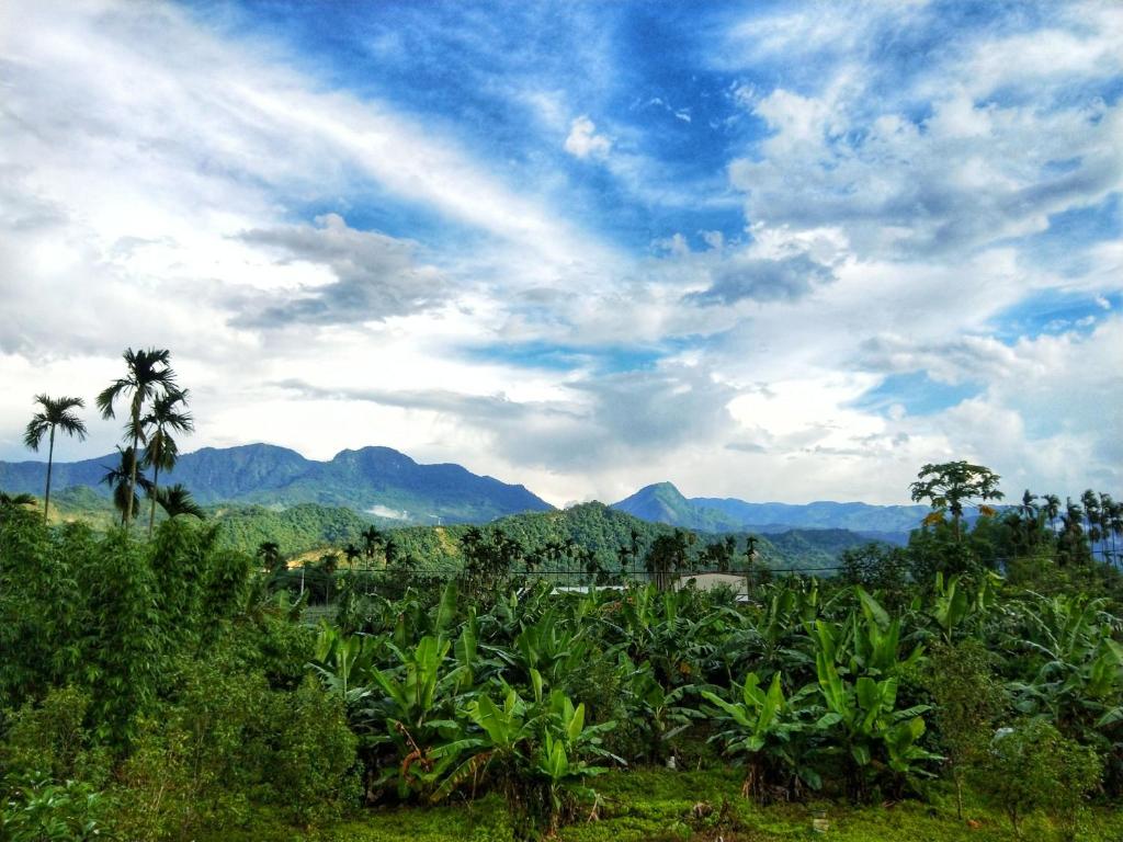 Surrounding environment