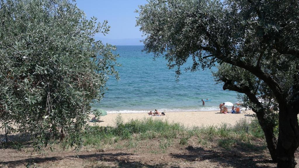 RHOMBUS by the sea, Palaio Tsifliki