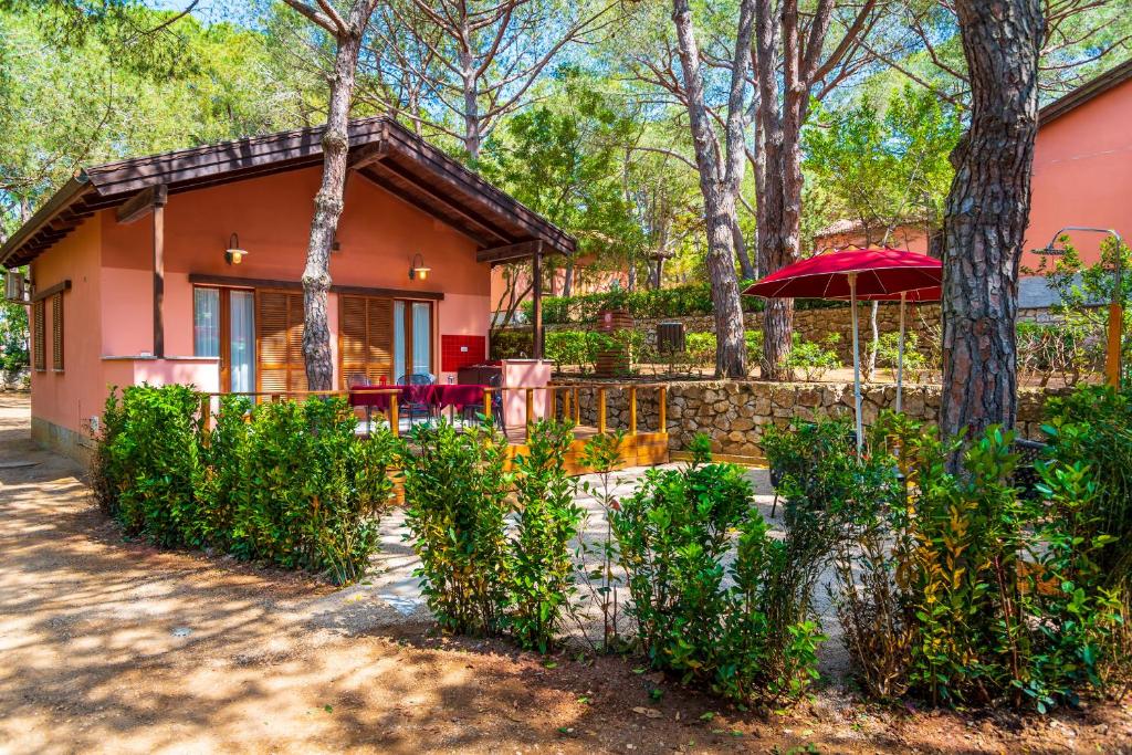 Camping Lacona Pineta - 5